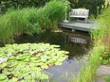 Gartenteich von hinten.jpg